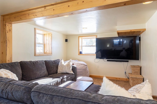 view of carpeted living room