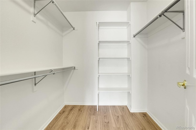 walk in closet with light wood-style floors