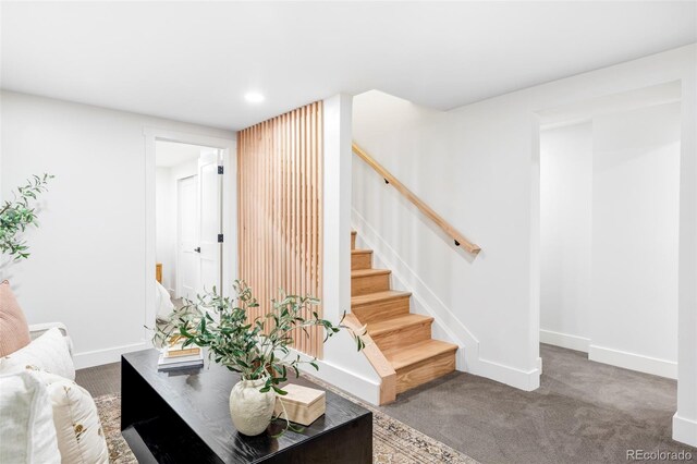 977 Adams St, Denver, CO 80206 - photo 25