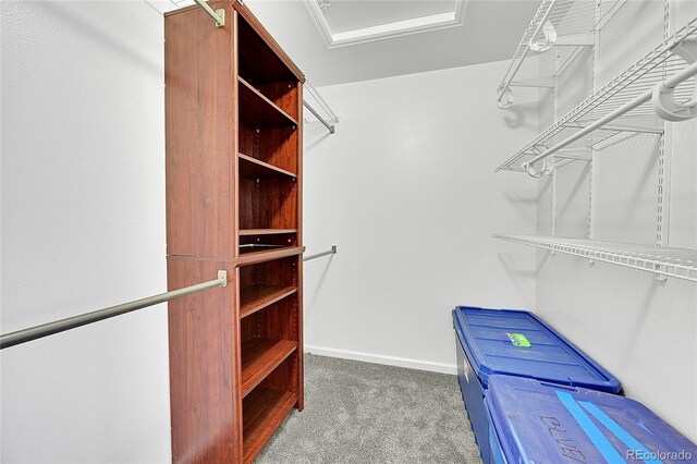 spacious closet featuring attic access and carpet