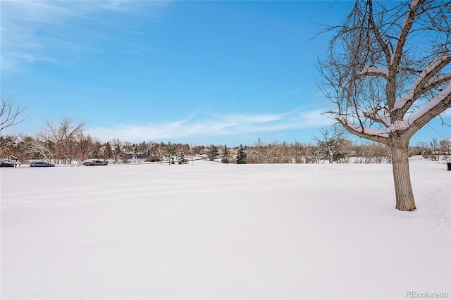 view of snowy yard