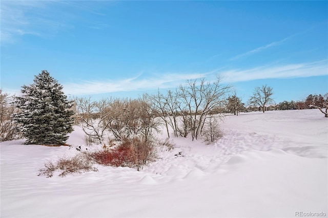 view of yard covered in snow