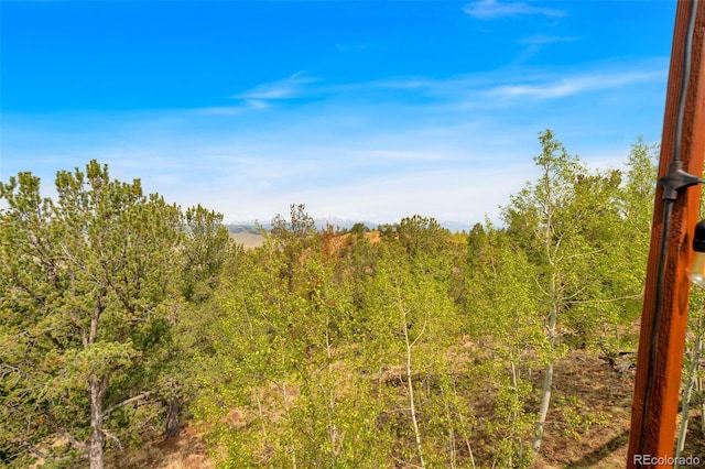 7260 Remington Rd, Como, CO 80432 - view of tree filled area