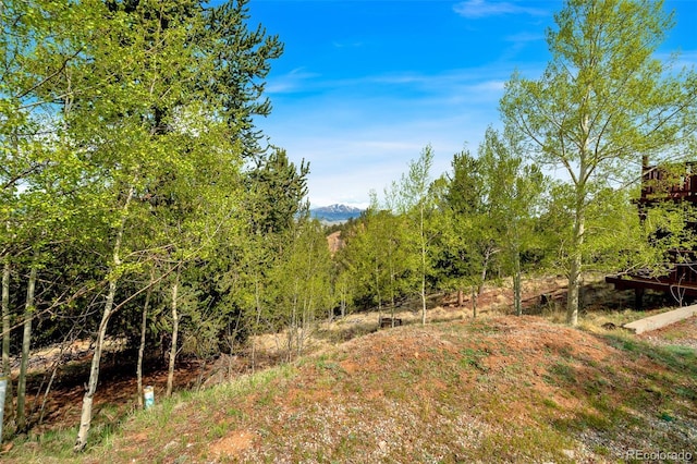 7260 Remington Rd, Como, CO 80432 - view of yard