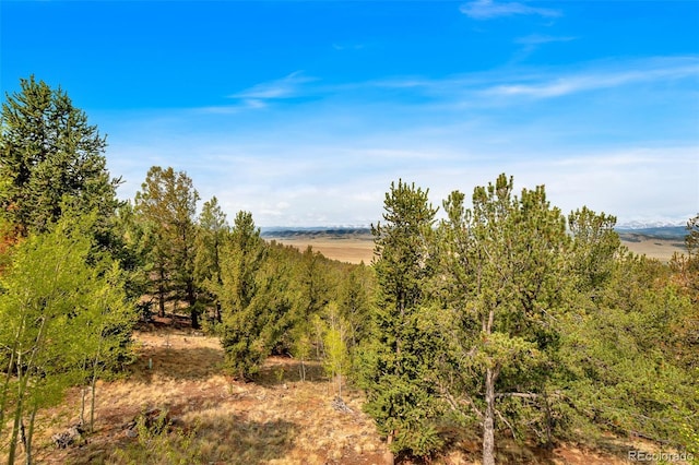 7260 Remington Rd, Como, CO 80432 - view of local wilderness