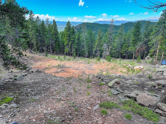 11275 Bear Run Trl, Conifer CO, 80433 land for sale