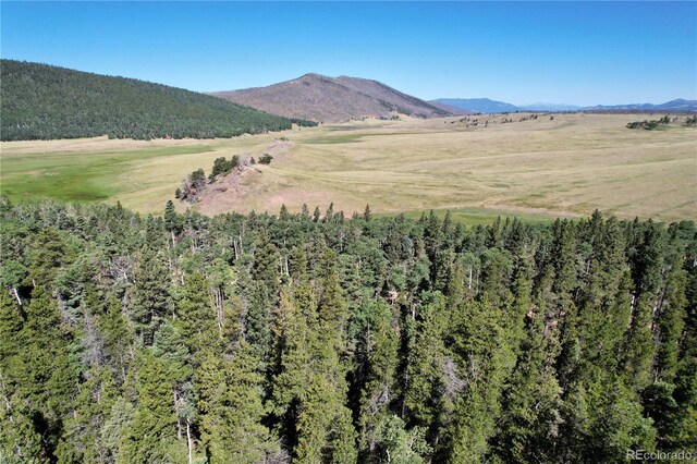 2452 Petito Dr, Fort Garland, CO 81133 - photo 1