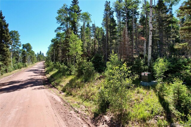 2452 Petito Dr, Fort Garland, CO 81133 - photo 2