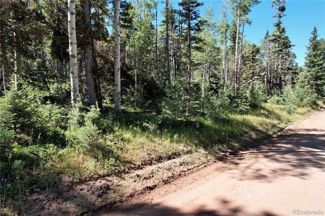 2452 Petito Dr, Fort Garland, CO 81133 - photo 4
