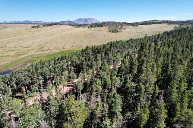 2452 Petito Dr, Fort Garland, CO 81133 - photo 7