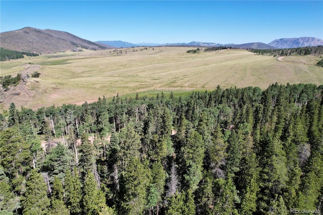 2452 Petito Dr, Fort Garland, CO 81133 - photo 8