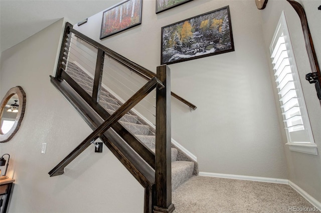 436 Sage Grouse Cir, Castle Rock, CO 80109 - photo 5