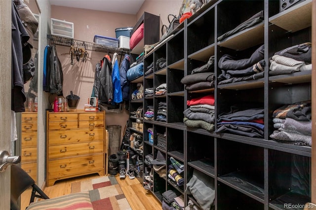 spacious closet with wood-type flooring