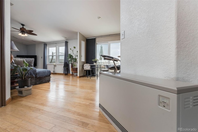 hall featuring light hardwood / wood-style floors