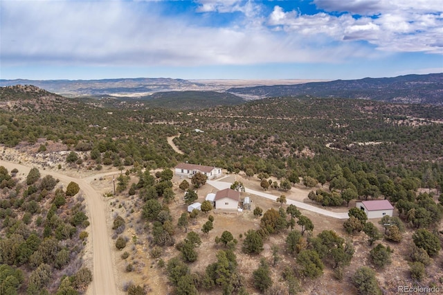 birds eye view of property featuring a mountain view