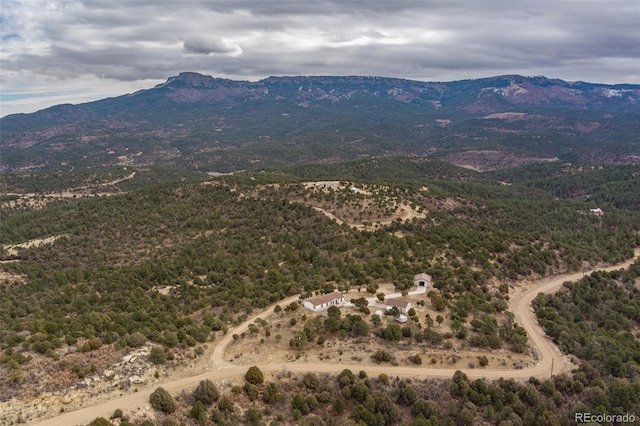 bird's eye view with a mountain view