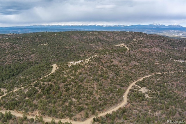 birds eye view of property with a mountain view