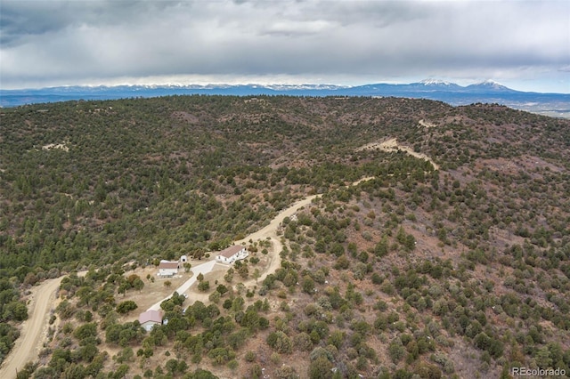 birds eye view of property with a mountain view