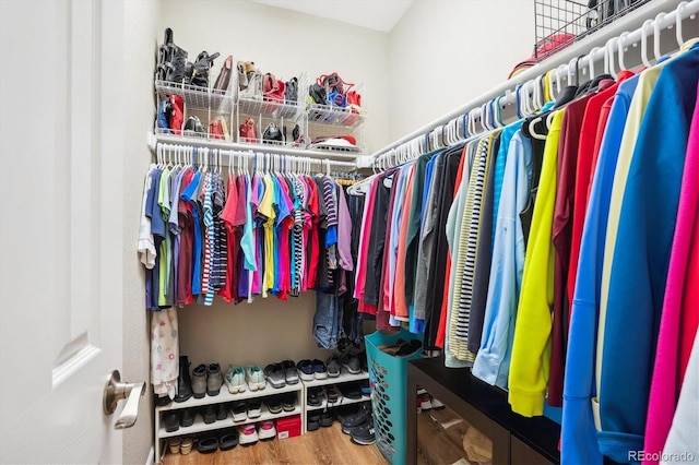 6033 Trailhead Rd, Highlands Ranch, CO 80130 - walk in closet featuring wood finished floors