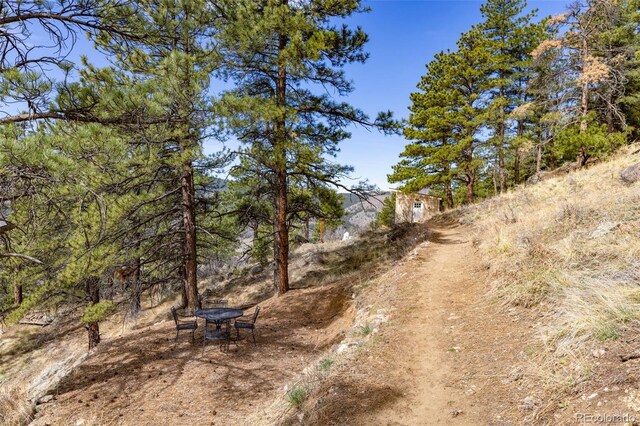 9316 Tawny Lynx Rd, Loveland, CO 80538