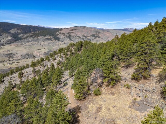 9316 Tawny Lynx Rd, Loveland, CO 80538