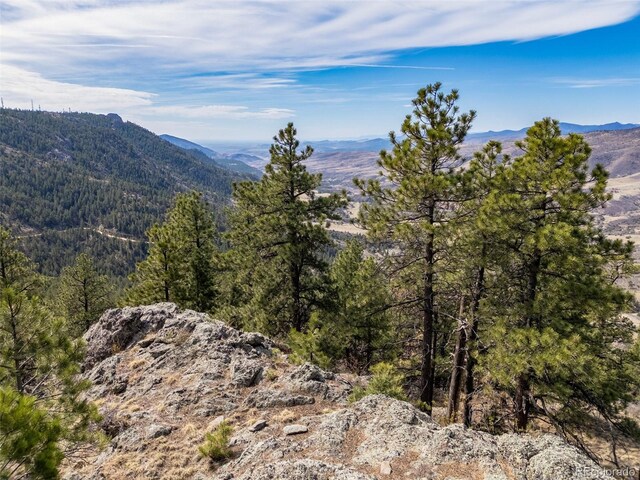 9316 Tawny Lynx Rd, Loveland, CO 80538