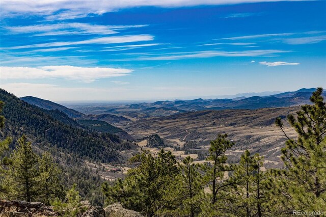 9316 Tawny Lynx Rd, Loveland, CO 80538