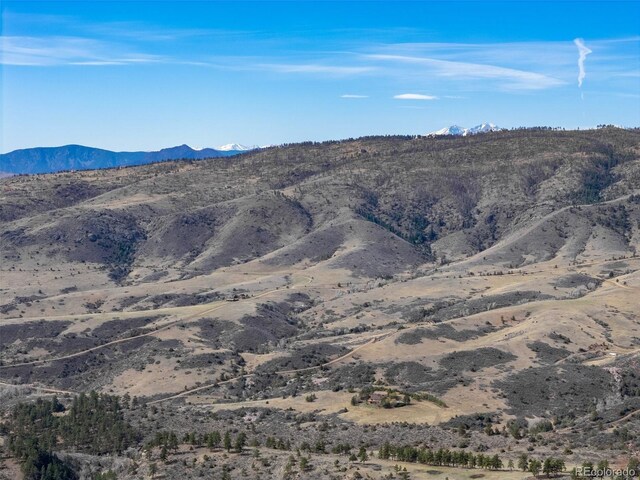 9316 Tawny Lynx Rd, Loveland, CO 80538