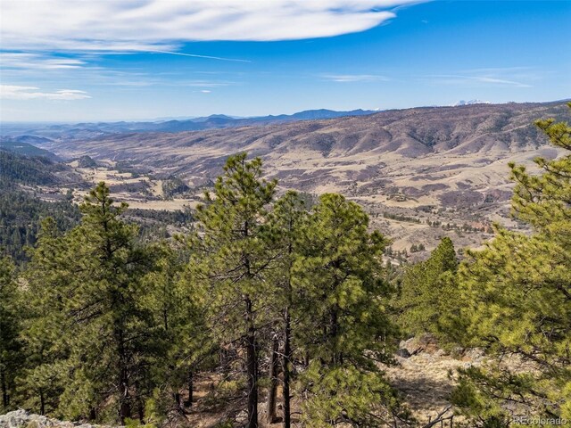 9316 Tawny Lynx Rd, Loveland, CO 80538