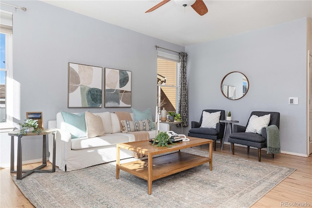 living room with ceiling fan and wood-type flooring