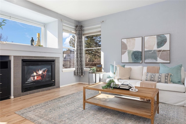 living room with wood-type flooring and a fireplace