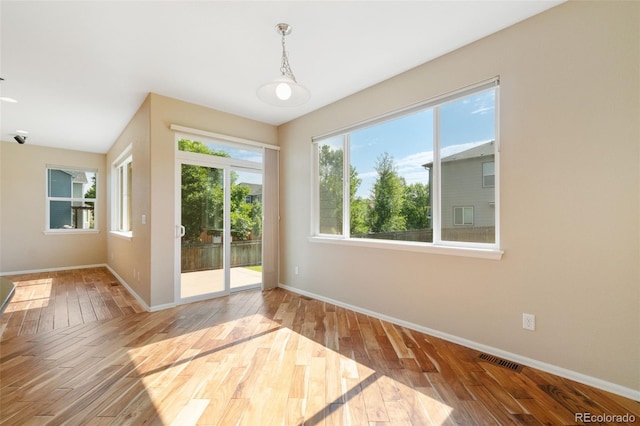 5894 Graphite St, Timnath, CO 80547 - spare room featuring hardwood / wood-style flooring and healthy amount of natural light