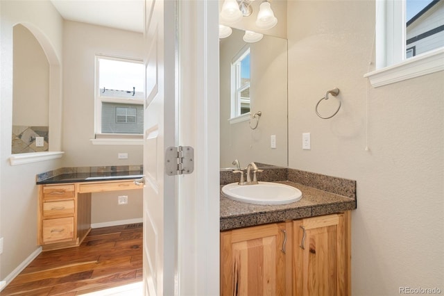 5894 Graphite St, Timnath, CO 80547 - bathroom with wood finished floors, vanity, and plenty of natural light