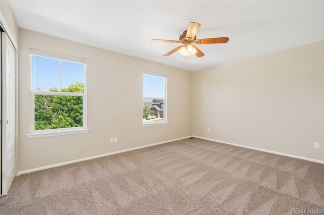 5894 Graphite St, Timnath, CO 80547 - spare room featuring carpet flooring, plenty of natural light, and a ceiling fan