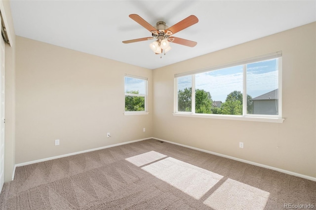 5894 Graphite St, Timnath, CO 80547 - unfurnished room featuring carpet flooring and ceiling fan