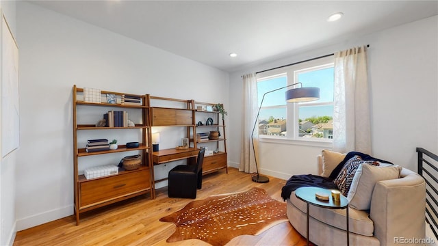 office with light hardwood / wood-style flooring