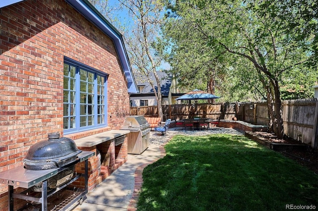 view of yard with an outdoor kitchen and a patio