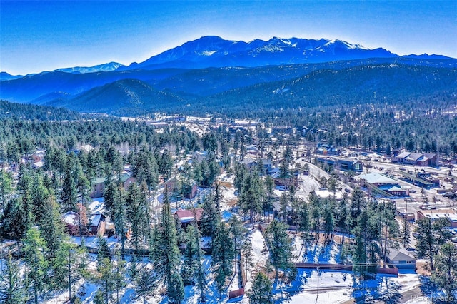 350 Panther Ct, Woodland Park, CO 80863 - snowy aerial view with a mountain view and a wooded view