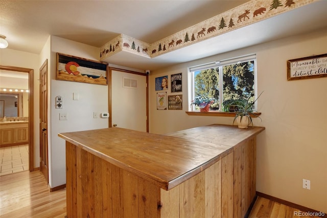 350 Panther Ct, Woodland Park, CO 80863 - interior space featuring light wood-style flooring, baseboards, a bar, and visible vents