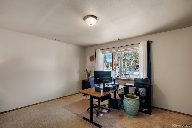 350 Panther Ct, Woodland Park, CO 80863 - office space with carpet floors, baseboards, and visible vents