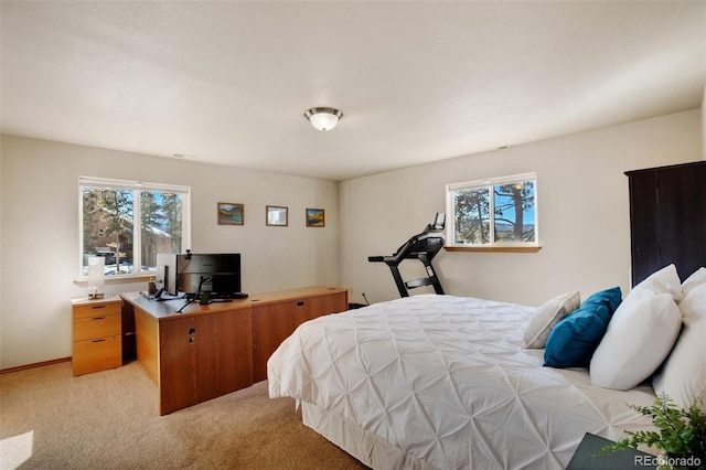 350 Panther Ct, Woodland Park, CO 80863 - bedroom with multiple windows and light colored carpet