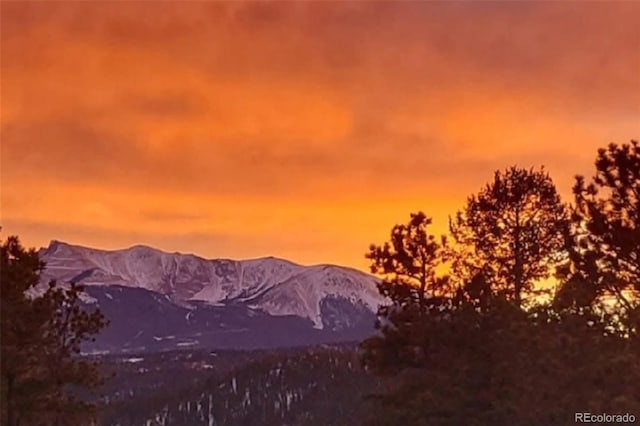 350 Panther Ct, Woodland Park, CO 80863 - property view of mountains