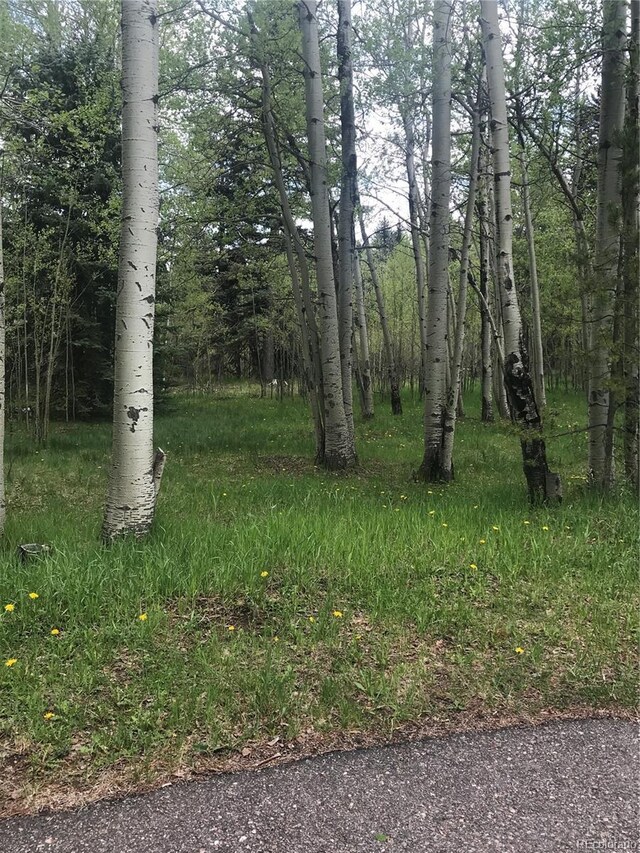 Listing photo - caption unavailable
