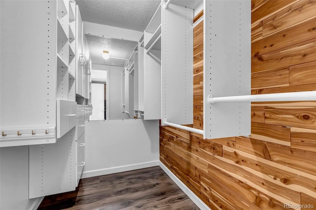 spacious closet featuring dark wood-type flooring