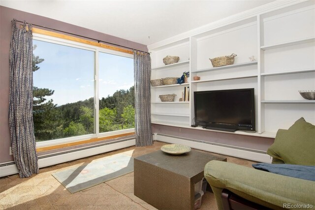 100 Wildcat Ln, Boulder, CO 80304 - photo 26
