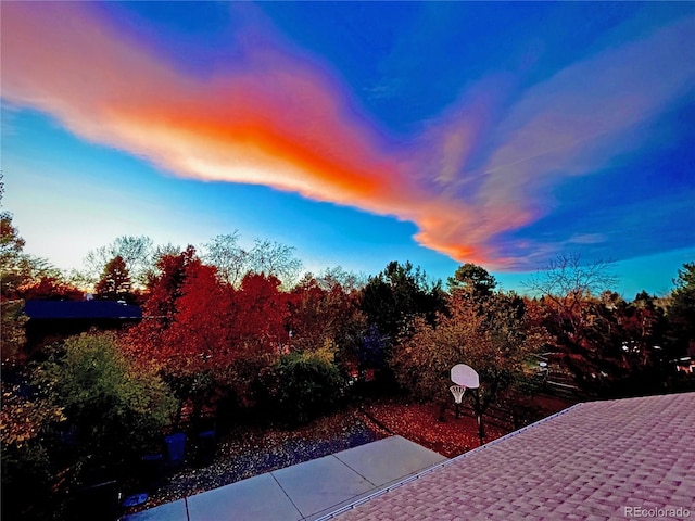 4701 Homestead St, Bow Mar, CO 80123 - view of yard
