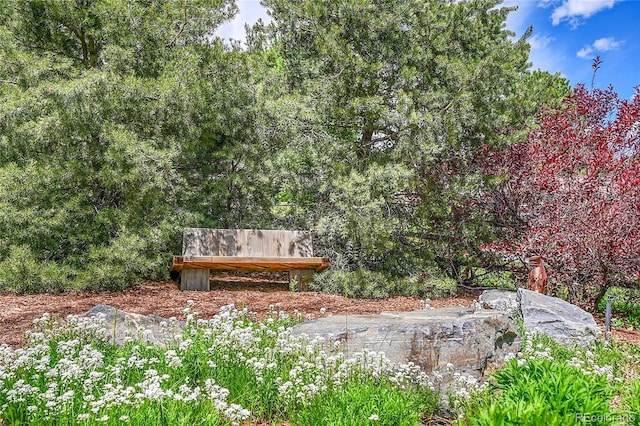 4701 Homestead St, Bow Mar, CO 80123 - view of yard
