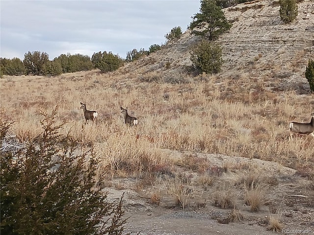 4474 Burnt Mill Rd, Pueblo, CO 81004 - photo 2