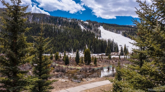 58 Hawk Cir Unit 2342, Dillon, CO 80435 - view of mountain view