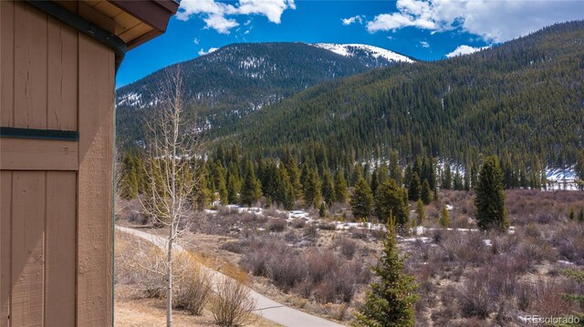 58 Hawk Cir Unit 2342, Dillon, CO 80435 - view of mountain view